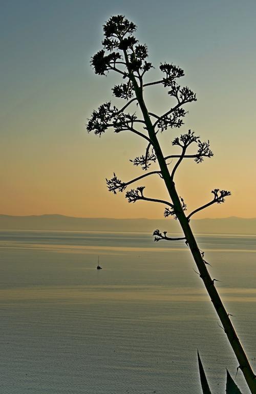 Idyllic Villa Marieta With Private Pool And Unforgettable View Makarska Exterior foto